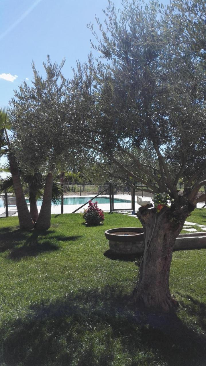 Agriturismo San Gallo Strassoldo Exterior foto